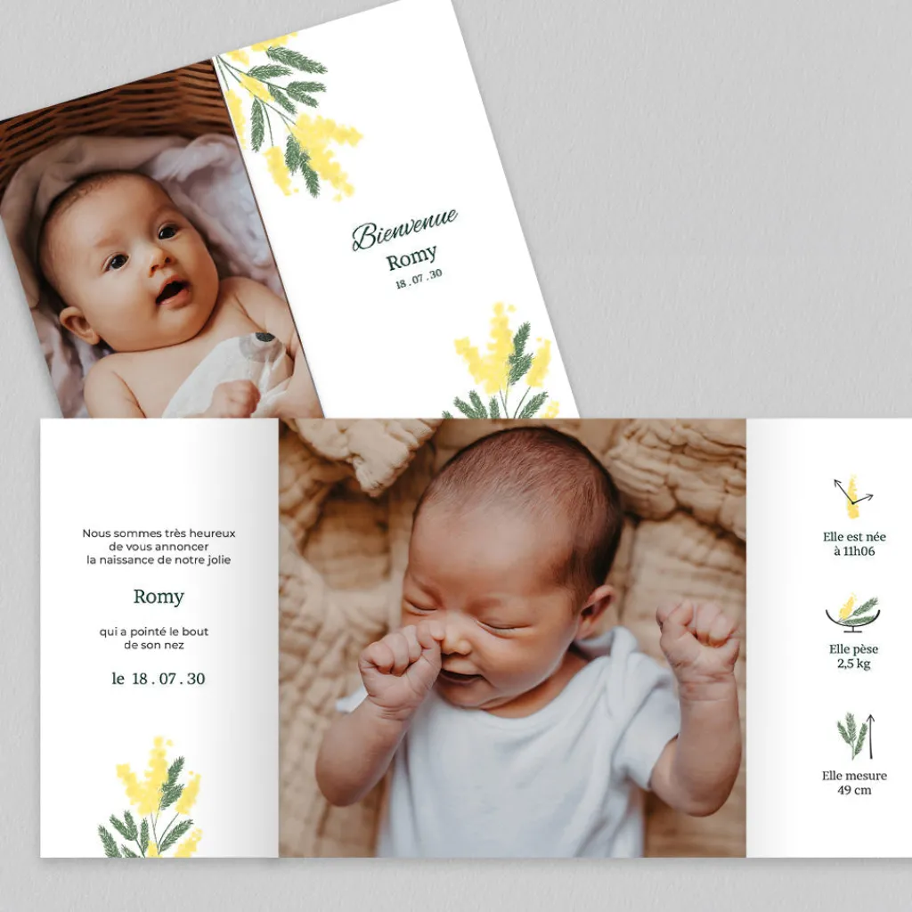 Faire-part Naissance Fille^Planet cards Arche et Mimosa
