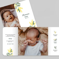 Faire-part Naissance Fille^Planet cards Arche et Mimosa