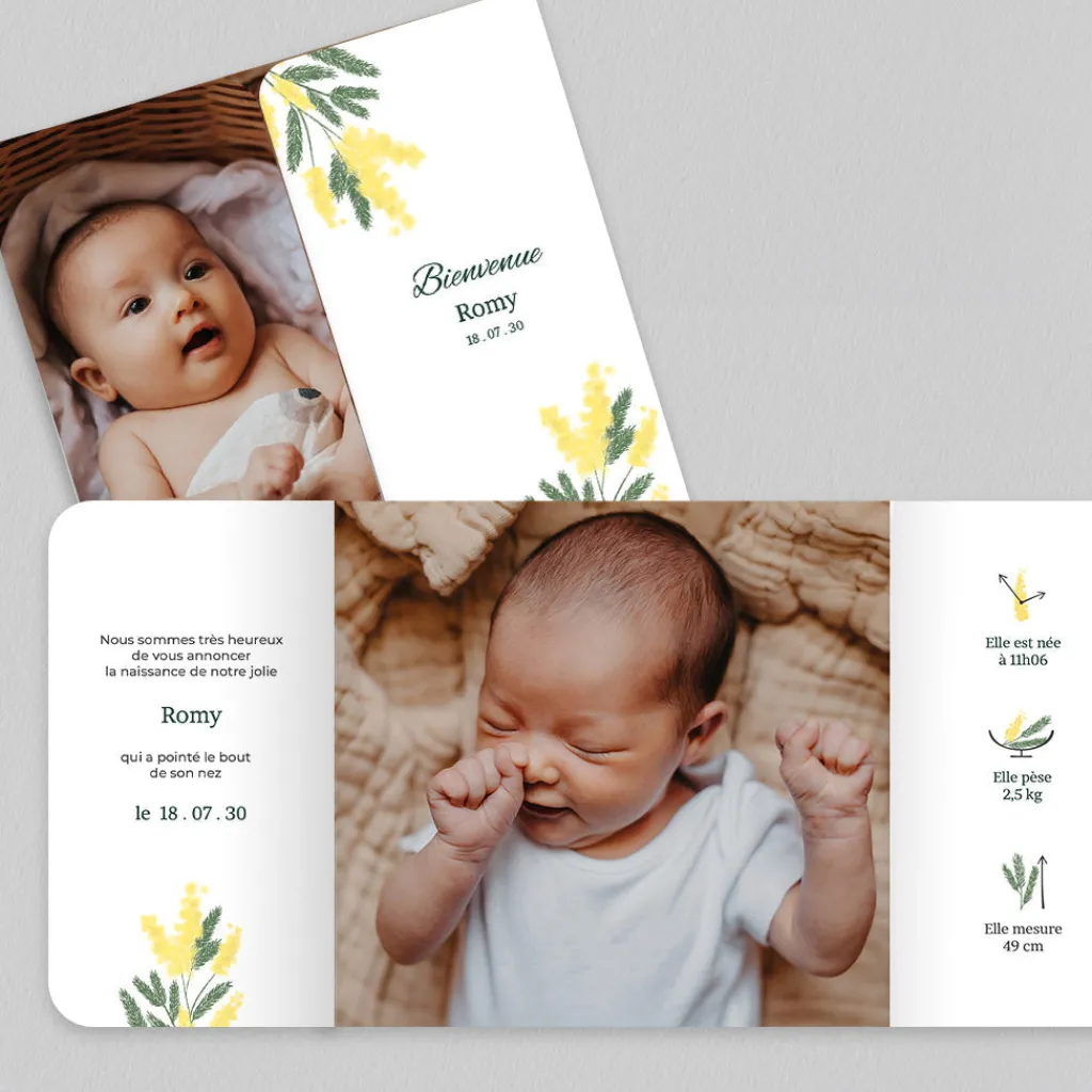 Faire-part Naissance Fille^Planet cards Arche et Mimosa