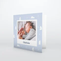 Faire-part Naissance Animaux | Faire-part Naissance Fille^Planet cards Arctique Ours