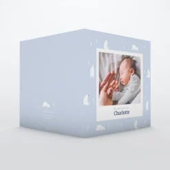 Faire-part Naissance Animaux | Faire-part Naissance Fille^Planet cards Arctique Ours et photo vintage
