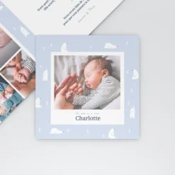 Faire-part Naissance Animaux | Faire-part Naissance Fille^Planet cards Arctique Ours et photo vintage