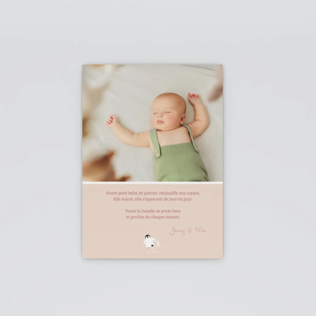 Faire-part Naissance Animaux | Faire-part Naissance Fille^Planet cards Arctique Pingouin