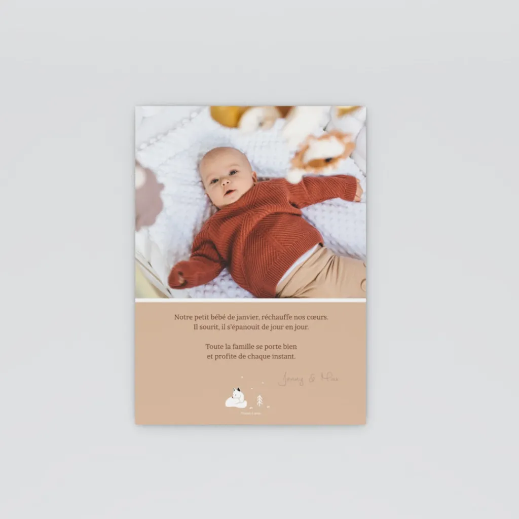 Faire-part Naissance Animaux | Faire-part Naissance Garçon^Planet cards Arctique Renard