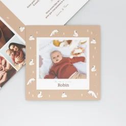 Faire-part Naissance Animaux | Faire-part Naissance Garçon^Planet cards Arctique Renard