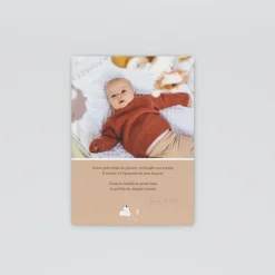 Faire-part Naissance Animaux | Faire-part Naissance Fille^Planet cards Arctique Renard et photo vintage