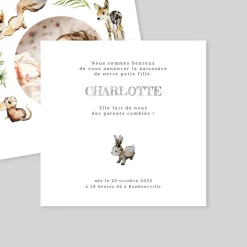 Faire-part Naissance Animaux | Faire-part Naissance Fille^Planet cards Ballade en Forêt