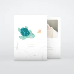 Faire-part Naissance Animaux | Faire-part Naissance Fille^Planet cards Bébé Tortue Fille