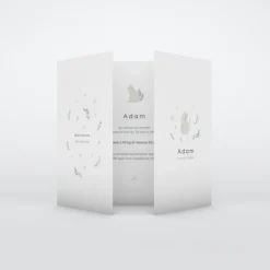 Faire-part Naissance Animaux | Faire-part Naissance Fille^Planet cards Bienvenue Petit Chat
