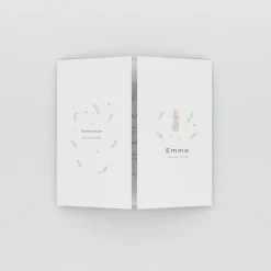 Faire-part Naissance Animaux^Planet cards Bienvenue Petit Lapin