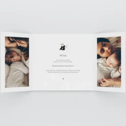 Faire-part Naissance Animaux^Planet cards Bienvenue Petit Panda