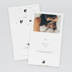 Faire-part Naissance Animaux^Planet cards Bienvenue Petit Panda