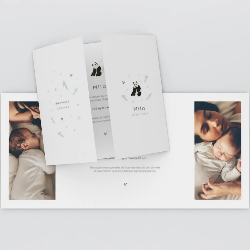 Faire-part Naissance Animaux^Planet cards Bienvenue Petit Panda