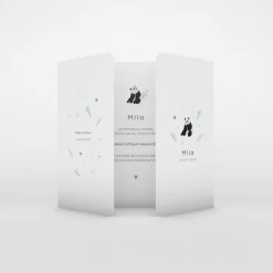 Faire-part Naissance Animaux^Planet cards Bienvenue Petit Panda