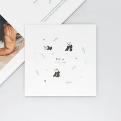 Faire-part Naissance Animaux^Planet cards Bienvenue Petit Panda