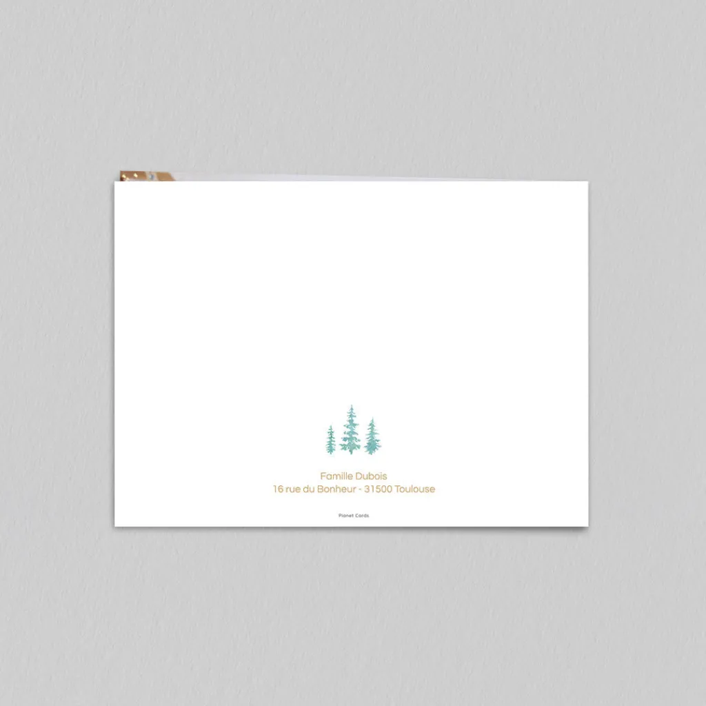 Carte De Noël Photo^Planet cards Boule à neige