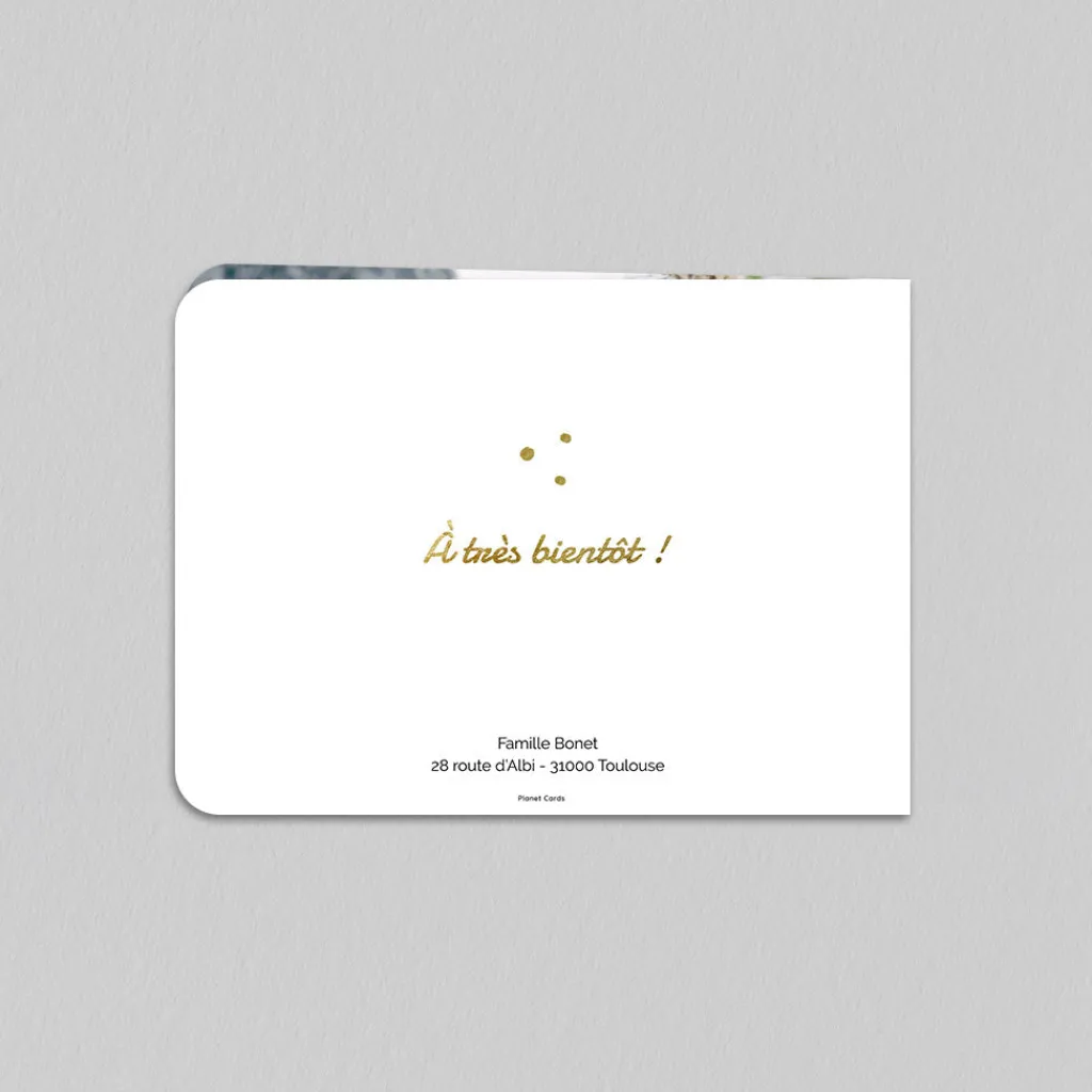 Carte De Noël Photo^Planet cards Boule à neige