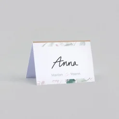 Marque-place Mariage^Planet cards Cercle Bois et Eucalyptus Rose
