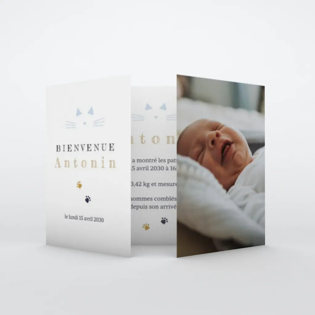 Faire-part Naissance Animaux | Faire-part Naissance Garçon^Planet cards Chaton