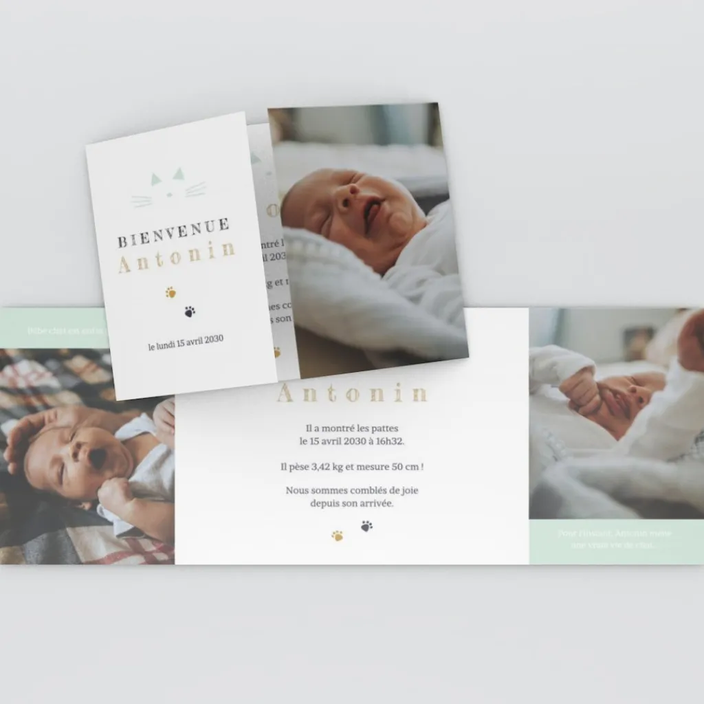 Faire-part Naissance Animaux | Faire-part Naissance Garçon^Planet cards Chaton