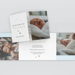 Faire-part Naissance Animaux | Faire-part Naissance Garçon^Planet cards Chaton