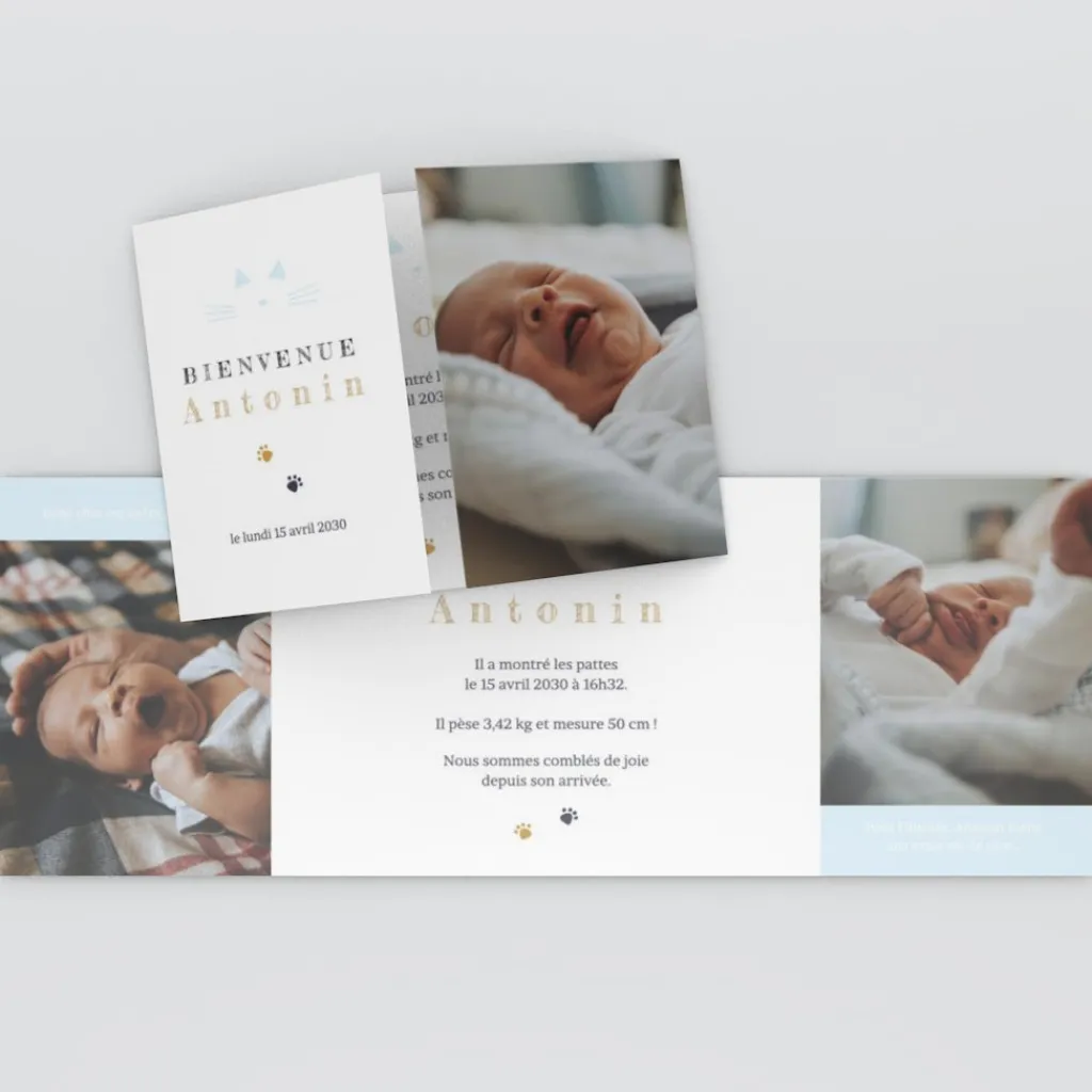 Faire-part Naissance Animaux | Faire-part Naissance Garçon^Planet cards Chaton