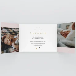 Faire-part Naissance Animaux | Faire-part Naissance Garçon^Planet cards Chaton