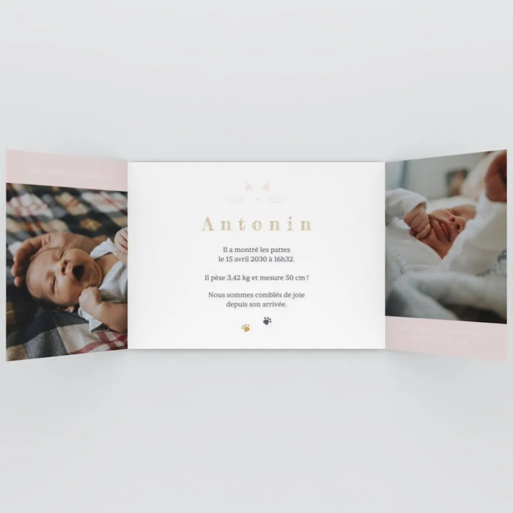 Faire-part Naissance Animaux | Faire-part Naissance Garçon^Planet cards Chaton