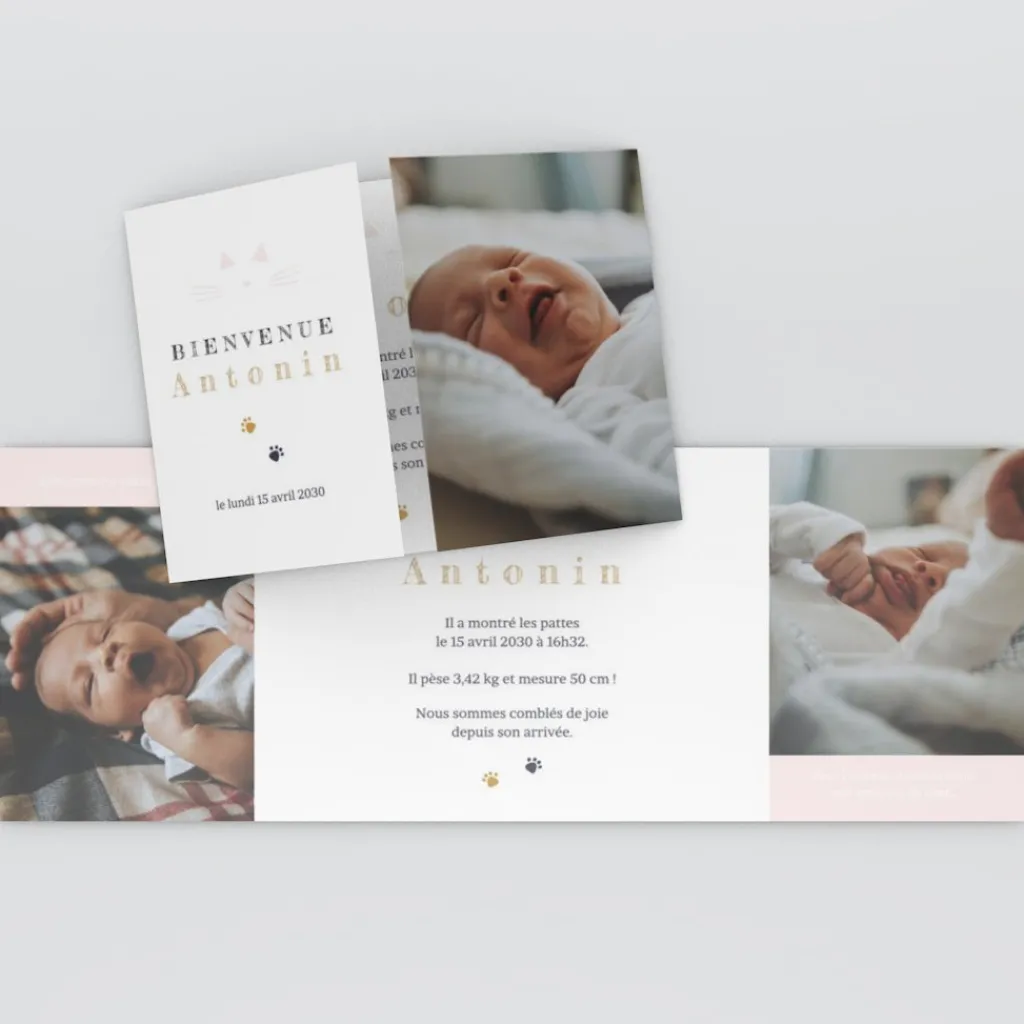 Faire-part Naissance Animaux | Faire-part Naissance Garçon^Planet cards Chaton
