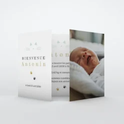 Faire-part Naissance Animaux | Faire-part Naissance Garçon^Planet cards Chaton