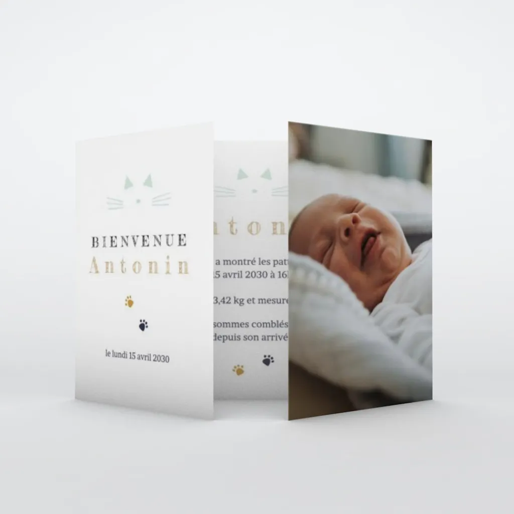 Faire-part Naissance Animaux | Faire-part Naissance Garçon^Planet cards Chaton