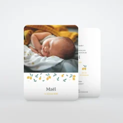 Faire-part Naissance Fille | Faire-part Naissance Garçon^Planet cards Citrons