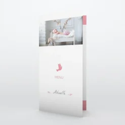 Menu Baptême^Planet cards Colombe paix