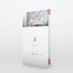 Menu Baptême^Planet cards Colombe paix