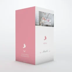 Menu Baptême^Planet cards Colombe paix