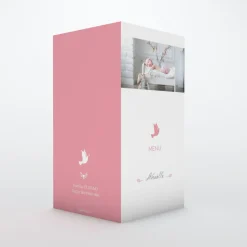 Menu Baptême^Planet cards Colombe paix