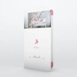 Menu Baptême^Planet cards Colombe paix