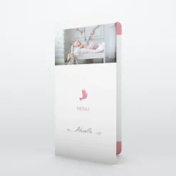 Menu Baptême^Planet cards Colombe paix