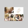 Carte Remerciement Mariage Champêtre^Planet cards Composition Florale
