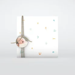 Faire-part Naissance Fille | Faire-part Naissance Garçon^Planet cards Coquillages Et Crustacés