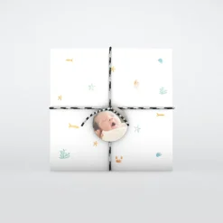 Faire-part Naissance Fille | Faire-part Naissance Garçon^Planet cards Coquillages Et Crustacés