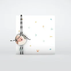 Faire-part Naissance Fille | Faire-part Naissance Garçon^Planet cards Coquillages Et Crustacés