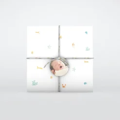 Faire-part Naissance Fille | Faire-part Naissance Garçon^Planet cards Coquillages Et Crustacés