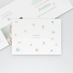 Faire-part Naissance Fille | Faire-part Naissance Garçon^Planet cards Coquillages Et Crustacés