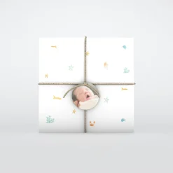 Faire-part Naissance Fille | Faire-part Naissance Garçon^Planet cards Coquillages Et Crustacés