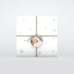 Faire-part Naissance Animaux | Faire-part Naissance Garçon^Planet cards Coquillages Et Étoiles De Mer Garçon