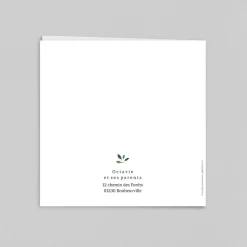 Créations En Collaboration | Faire-part Naissance Fille^Planet cards Couffin et Petites Feuilles