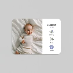Faire-part Naissance Fille^Planet cards Delphimium Et Pictos