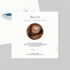 Faire-part Naissance Animaux | Créations En Collaboration^Planet cards Douces Baleines