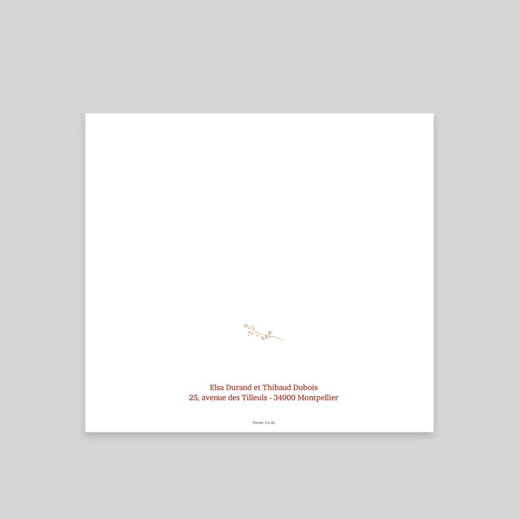 Faire-part Mariage Champêtre | Gamme Complète^Planet cards Douces Brindilles